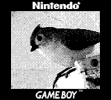 A titmouse on a bird feeder