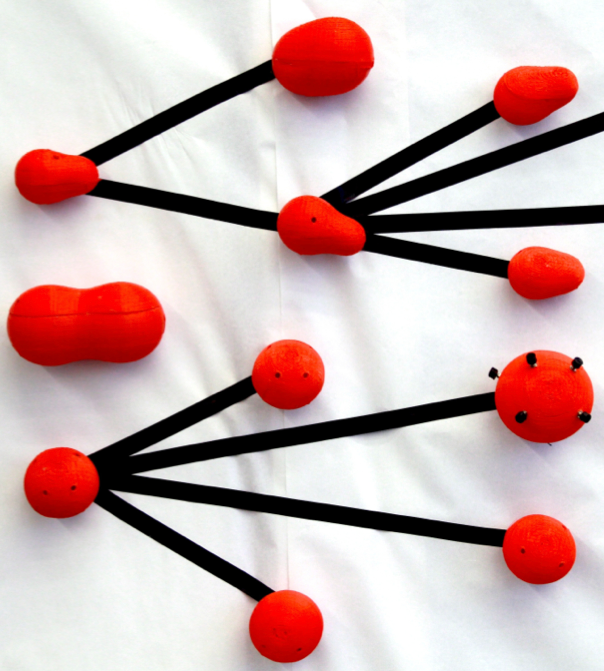Generations of 3D-printed instruments laid out as a family tree